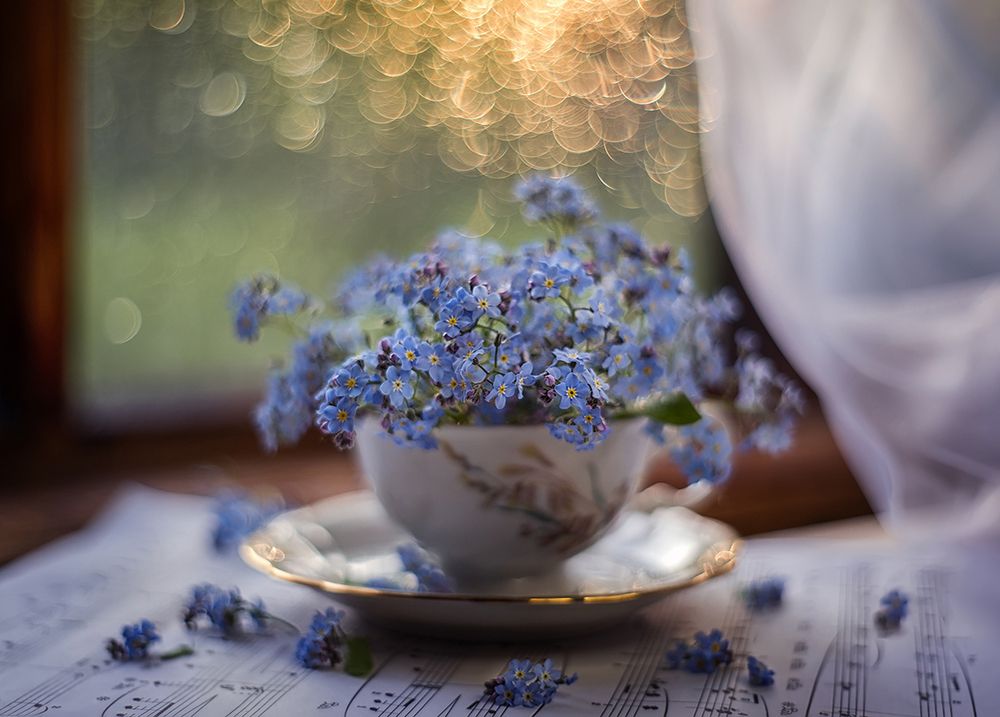 A fading day.../Улетающий день..