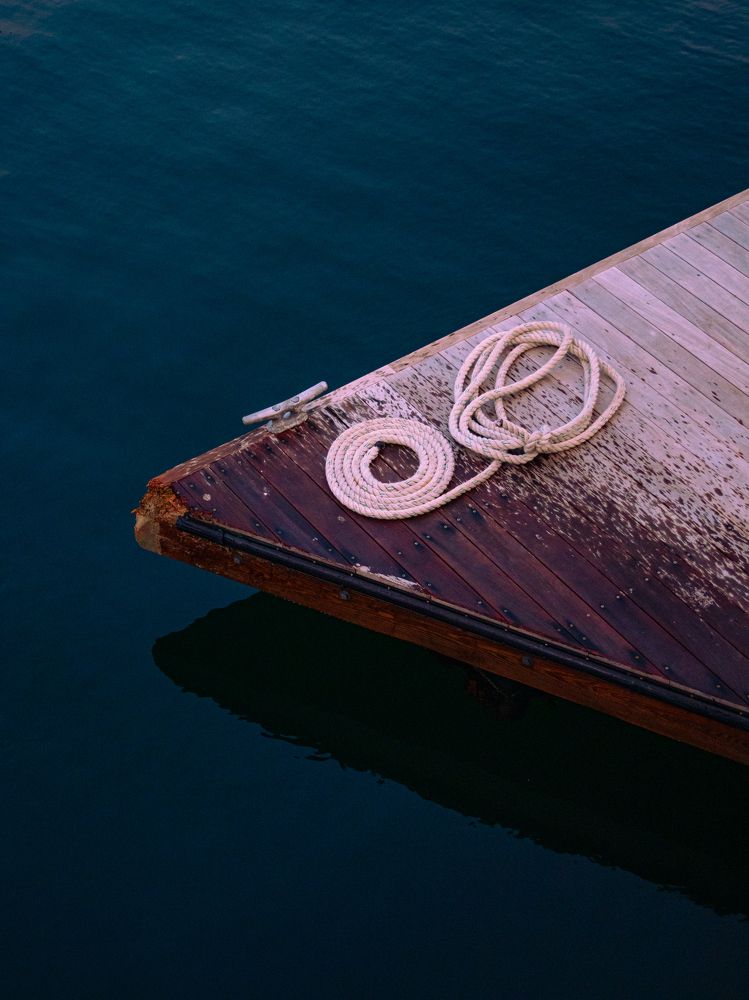 How much is the fish?