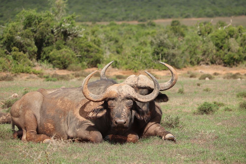 Photograph by Isabel Moreira