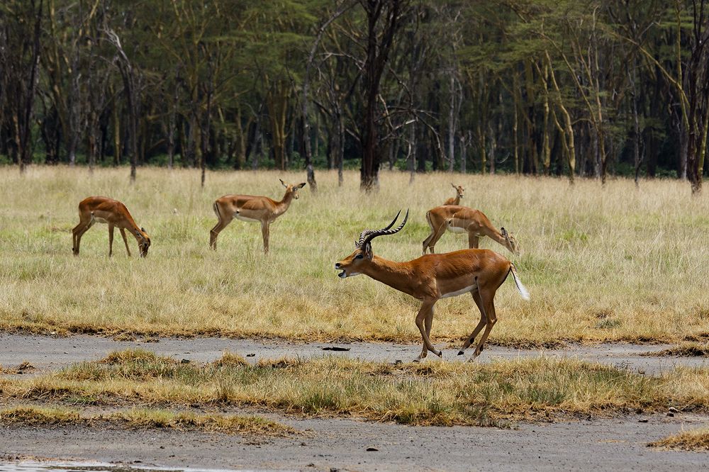 Photograph by Светлана Барабанщикова