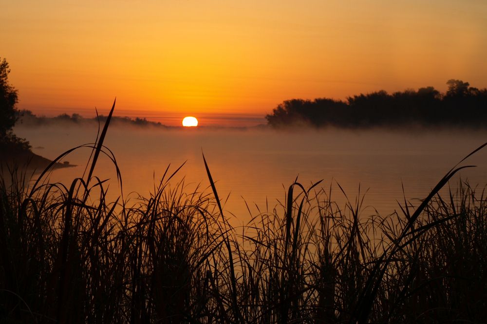 Photograph by Сергей Пупков