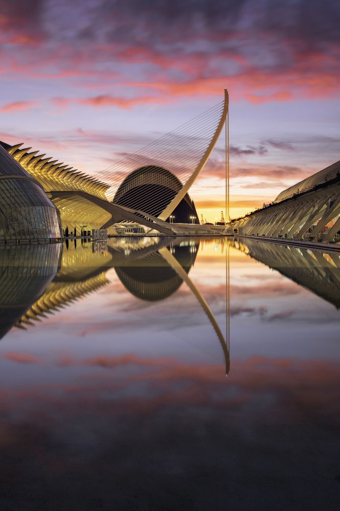 Photograph by Camacho Anto