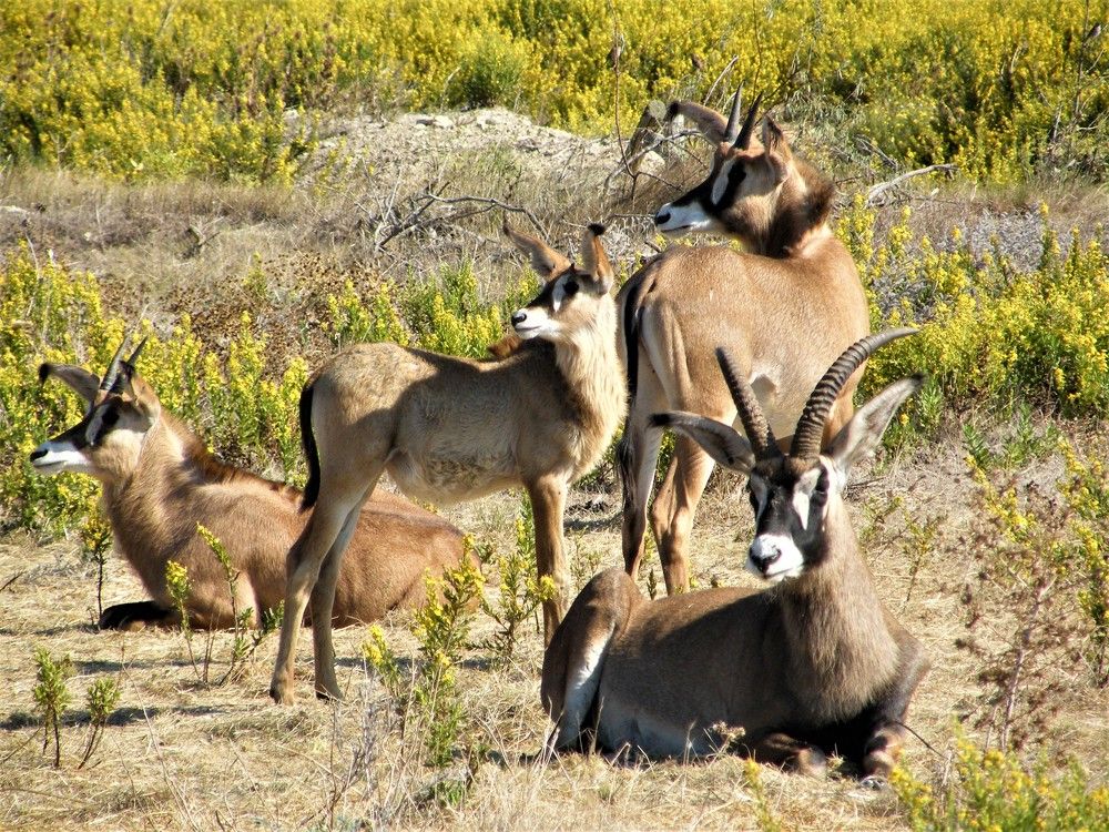 Photograph by Раиса Ламли