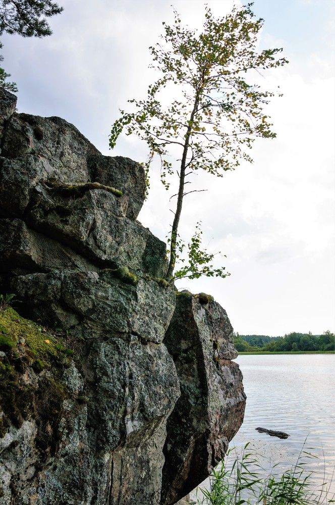 Photograph by Сергей Громов