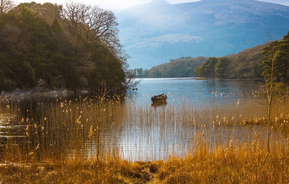 Photograph by Anna Rodnishcheva