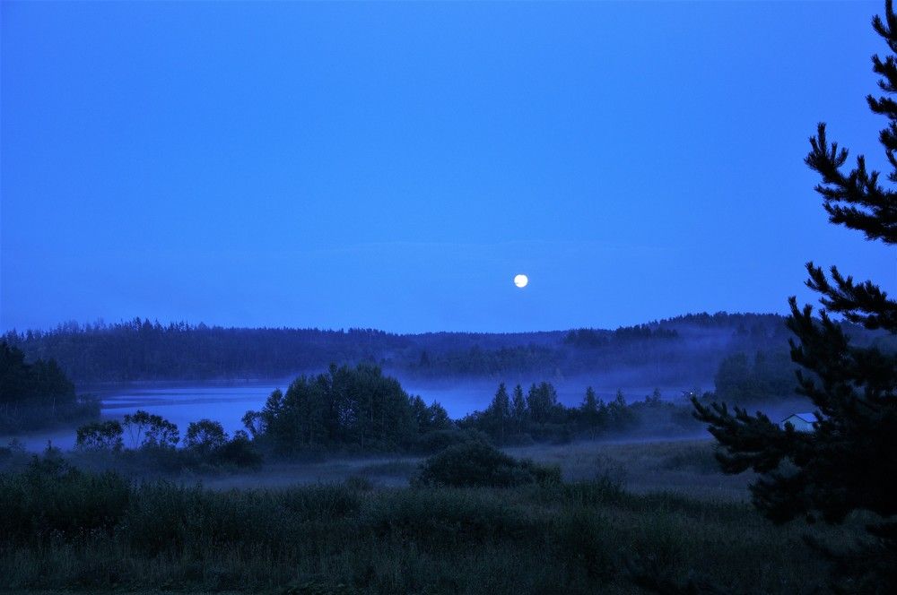 Photograph by Сергей Громов