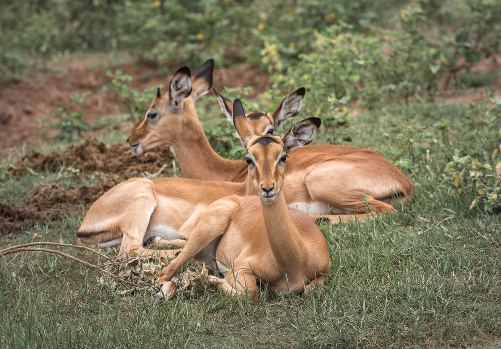 Photograph by Iris Lara