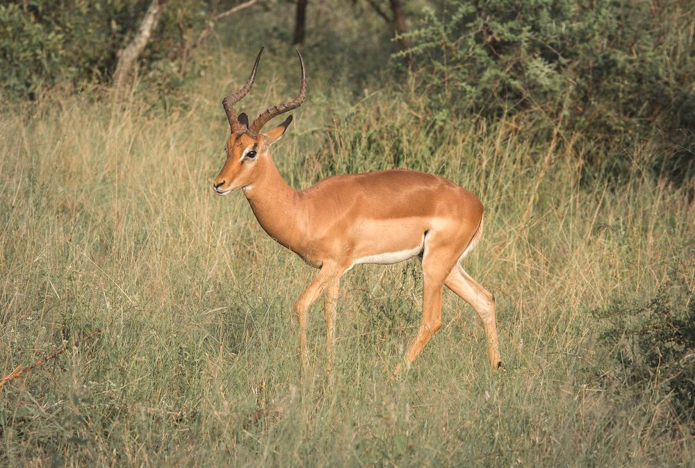 Photograph by Iris Lara