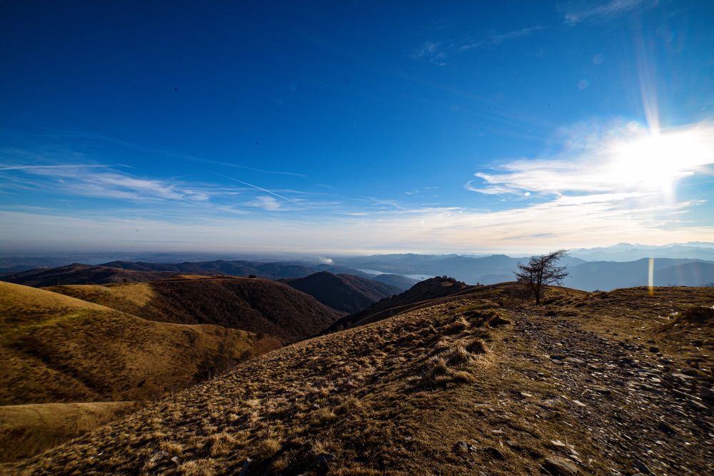 Photograph by Ludovica Maria Amodeo