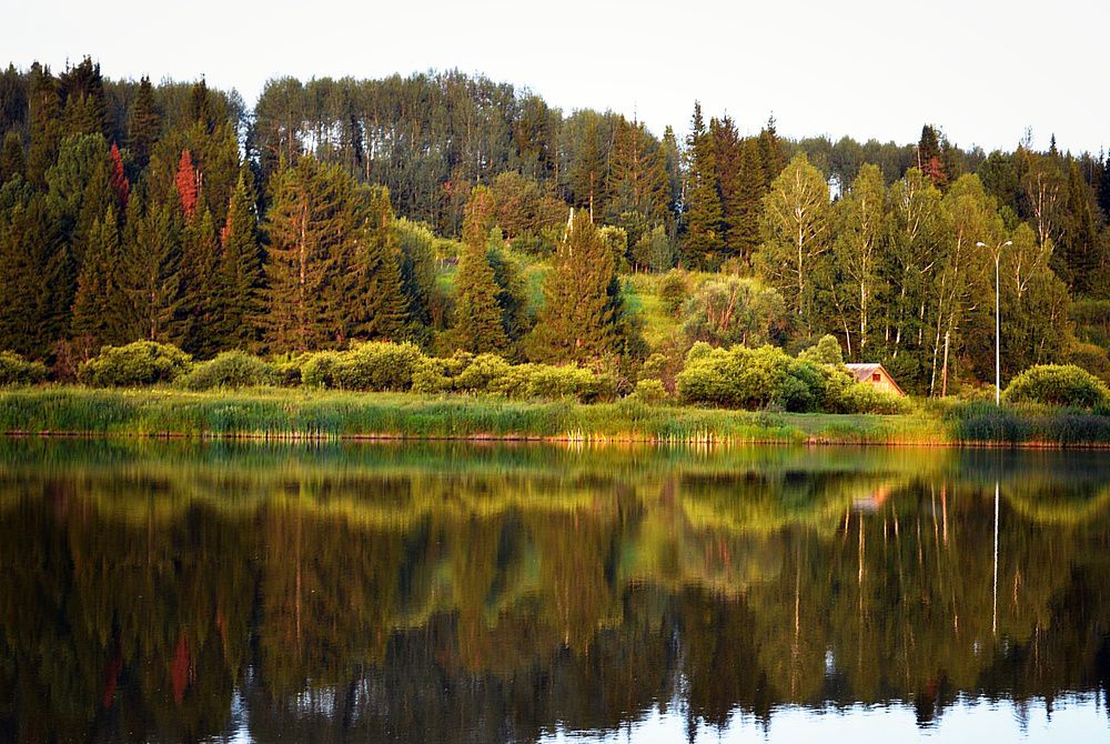 Photograph by Юлия Сурикова