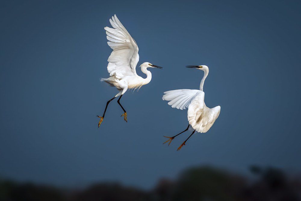 Photograph by Md. Mehedi Hassan