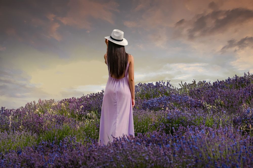 In to lavender