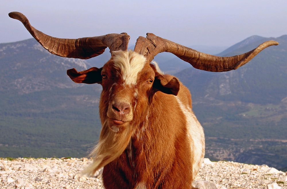 Photograph by Вячеслав