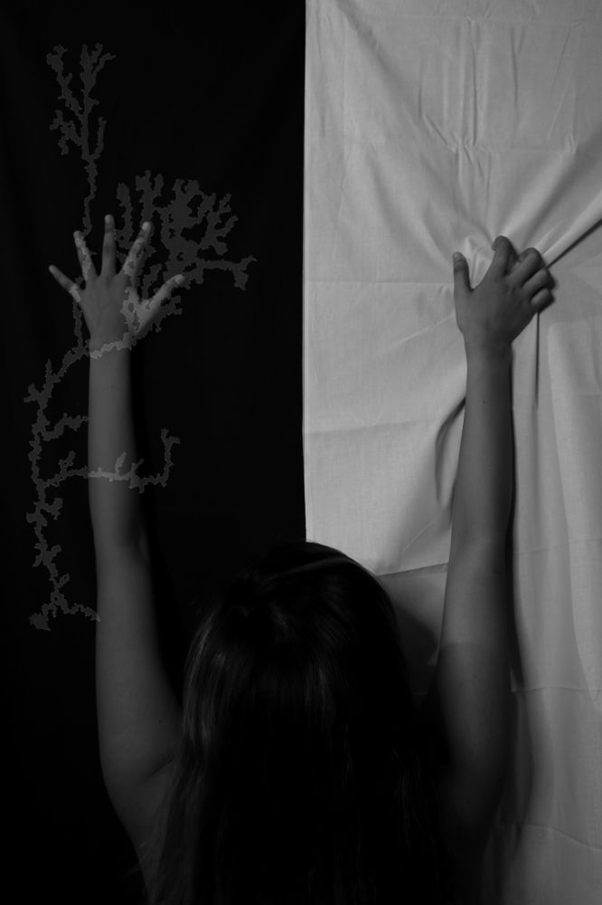 Photograph by Arnab Pal