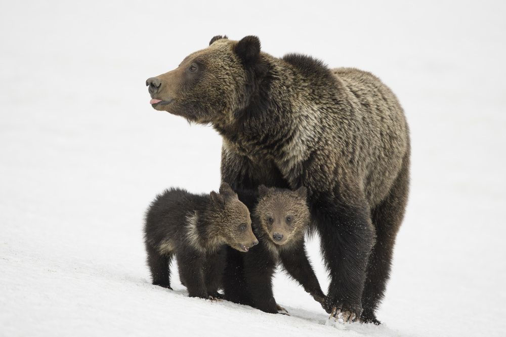Photograph by Jorn Vangoidtsenhoven