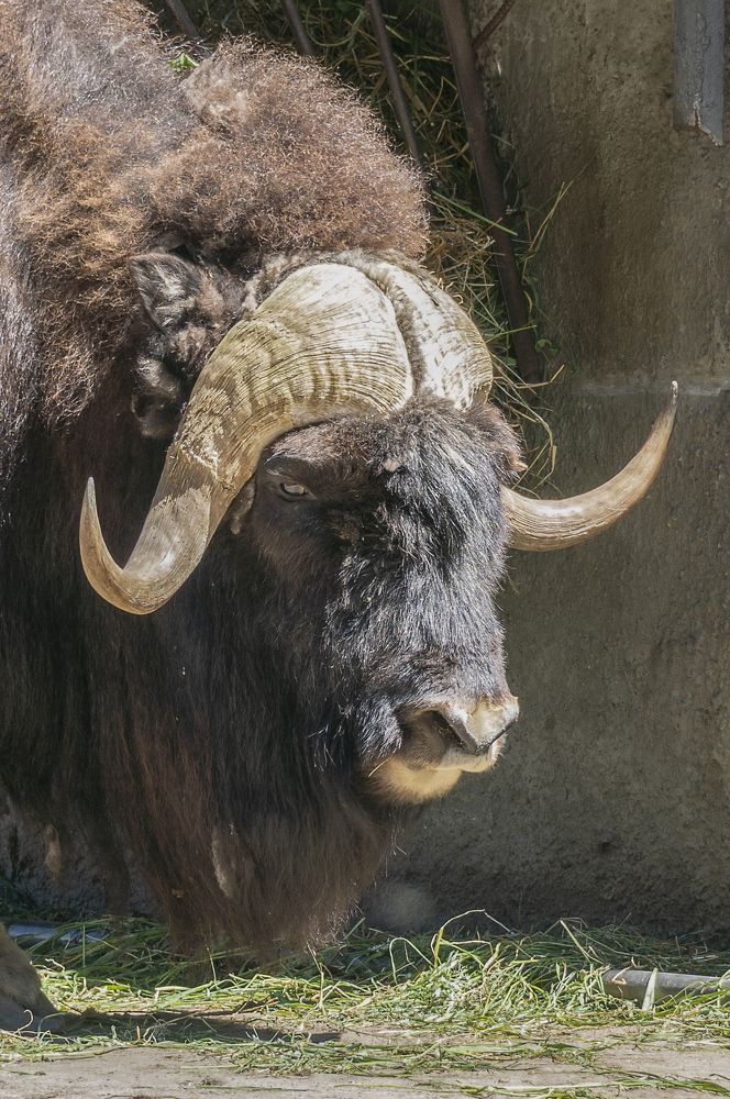 Photograph by Виктор Кирпичников