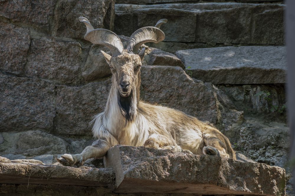 Photograph by Виктор Кирпичников