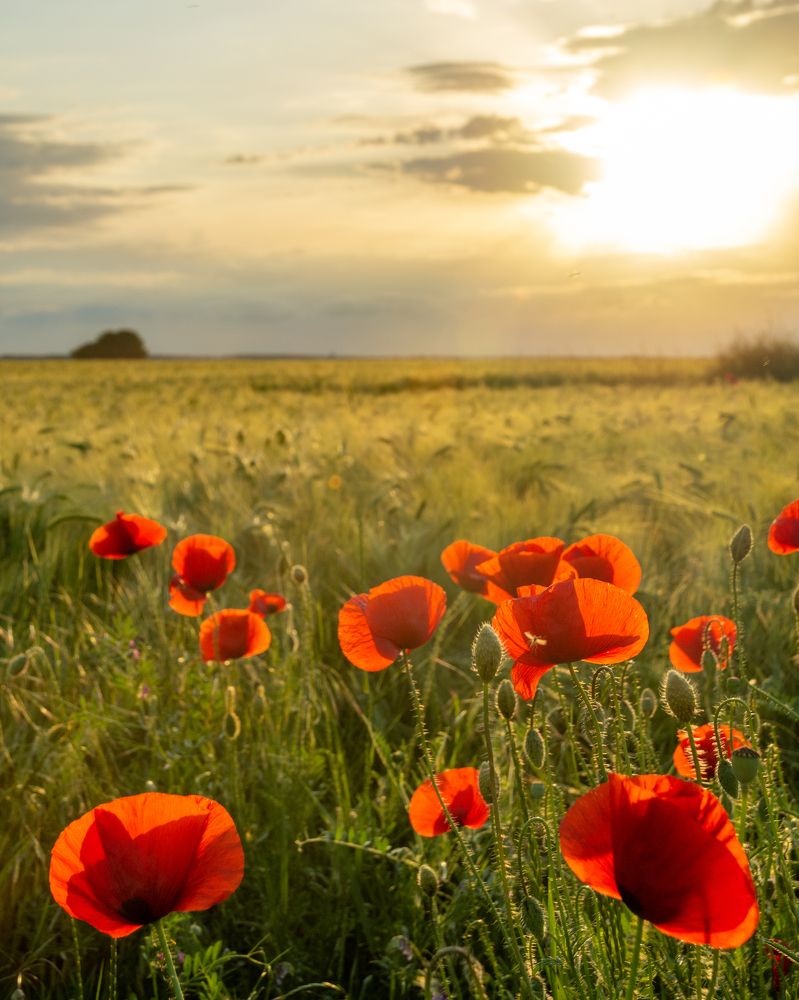 Photograph by Pucs Fongabe