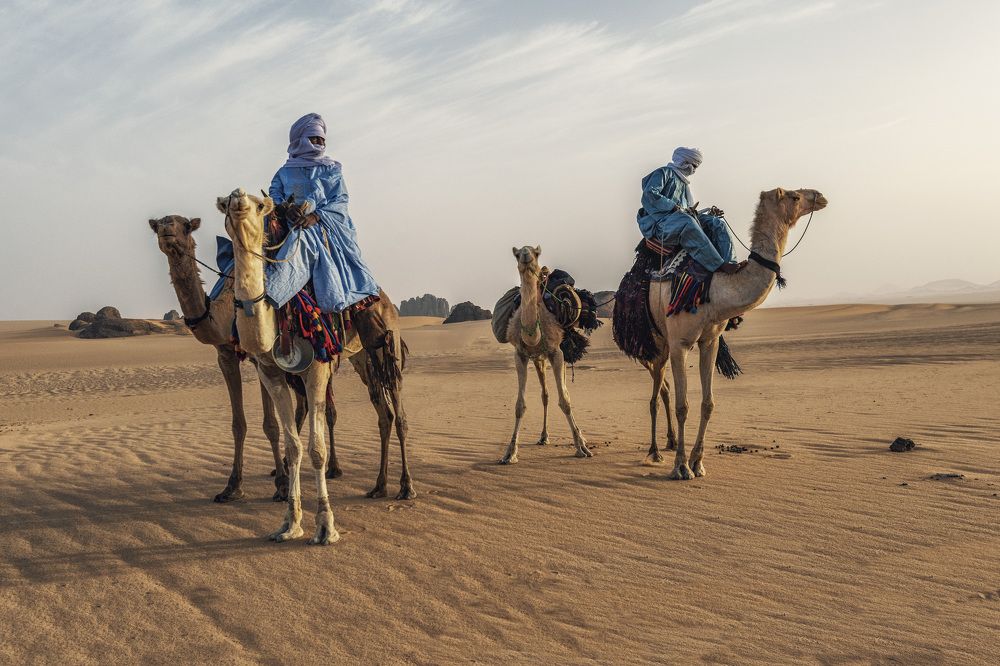 Touareg Caravan in the Algerian Desert.