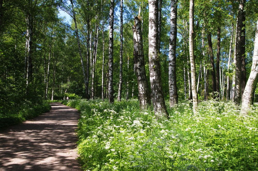В Удельном парке СПб...!