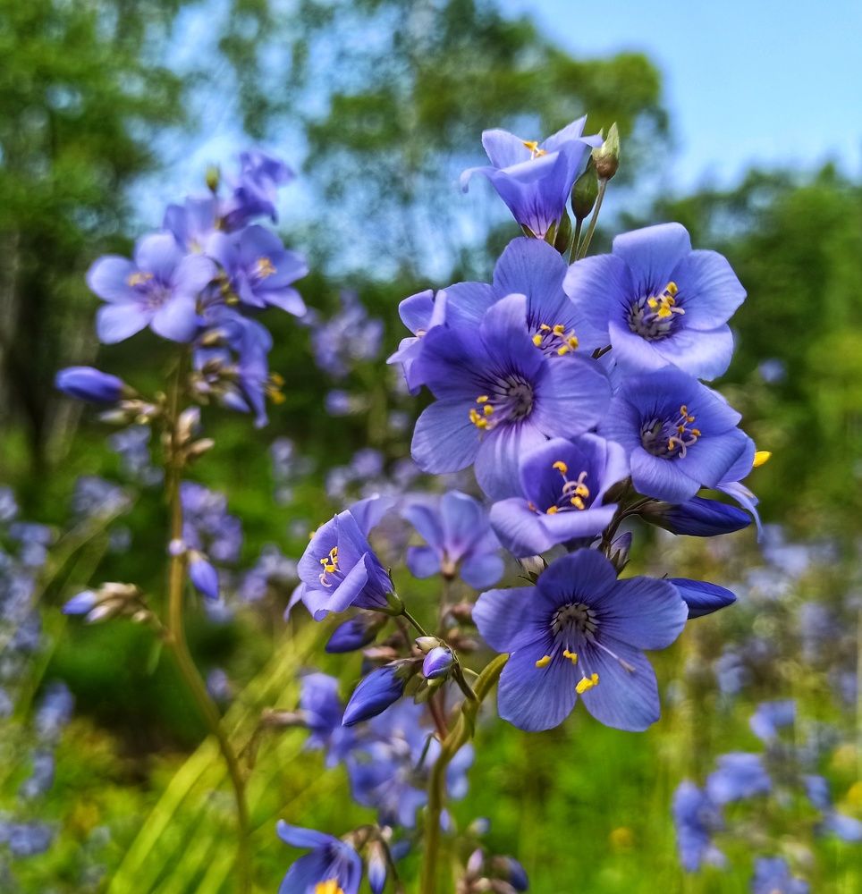 Photograph by Василий Садовский