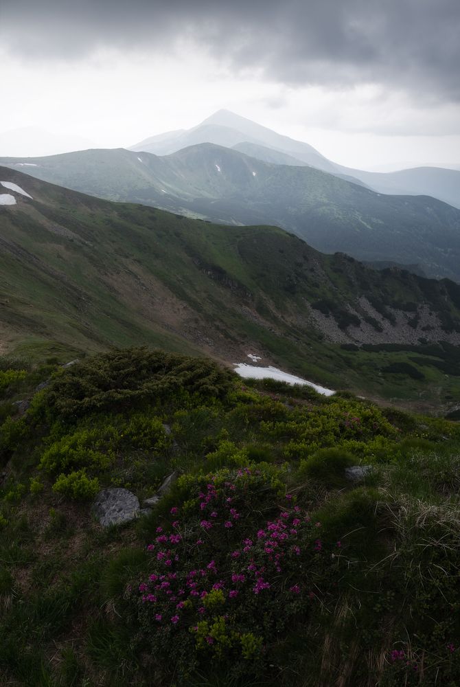 Photograph by Арсен Горецький