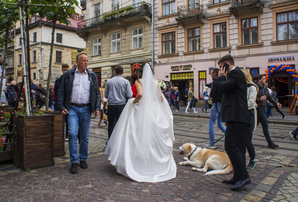 Photograph by Павел Минкевич