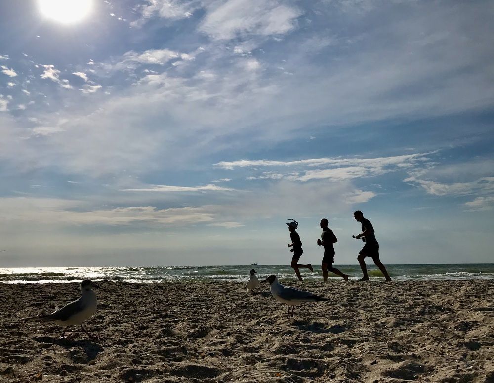 Утренняя пробежка