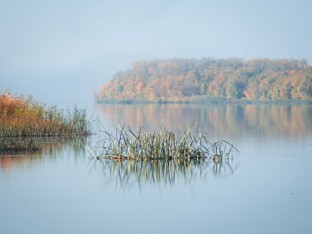 Photograph by Светлана Шибаршина