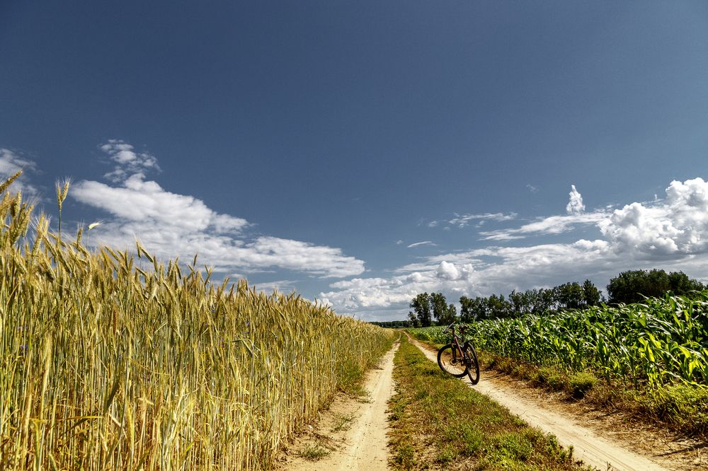 Photograph by Сергей Крышен