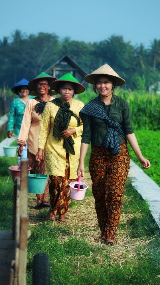 Фотография автора Edi Sutriyono