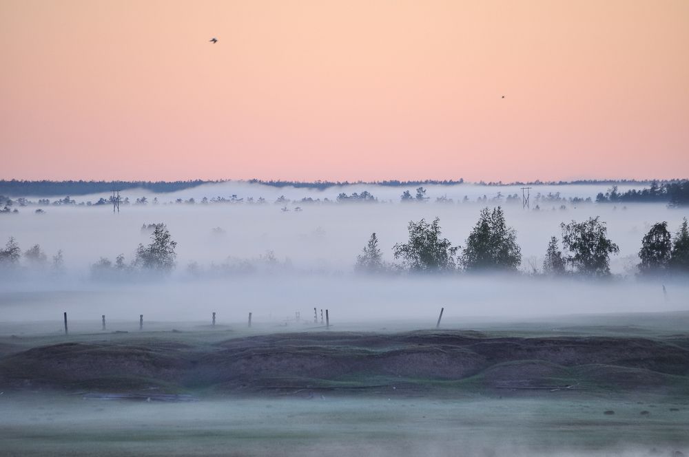 Раннним утром