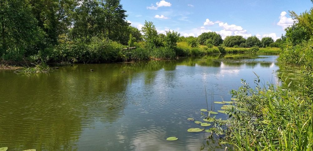 Photograph by Inna Kabanovich