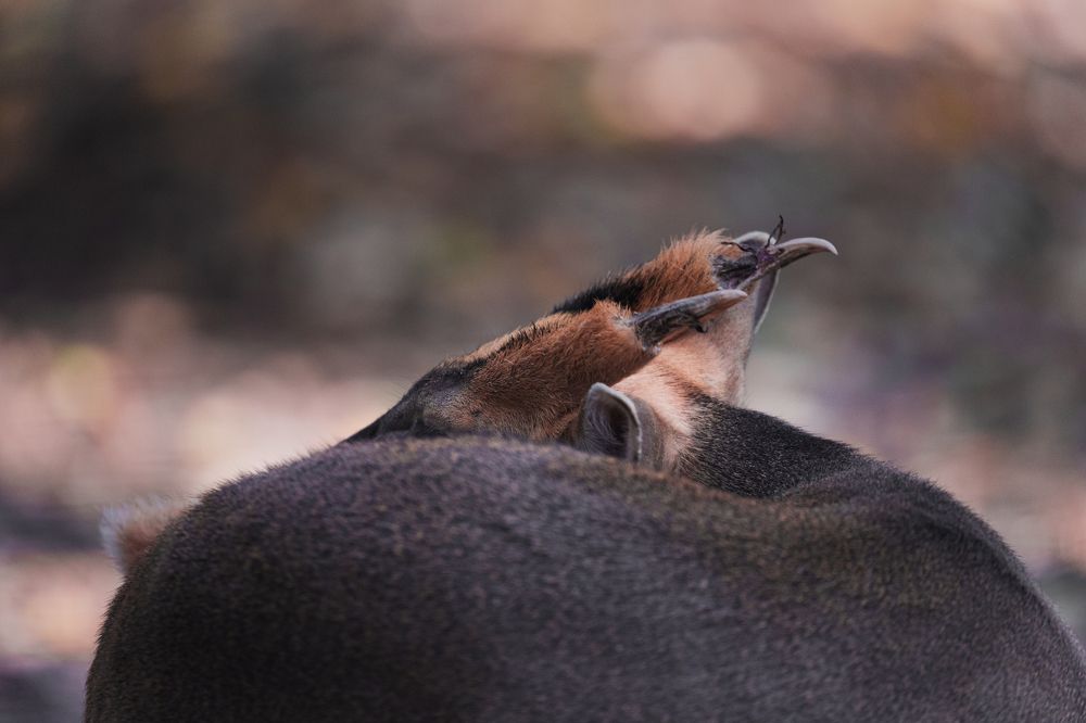 Photograph by Oleksandr Troitskyi