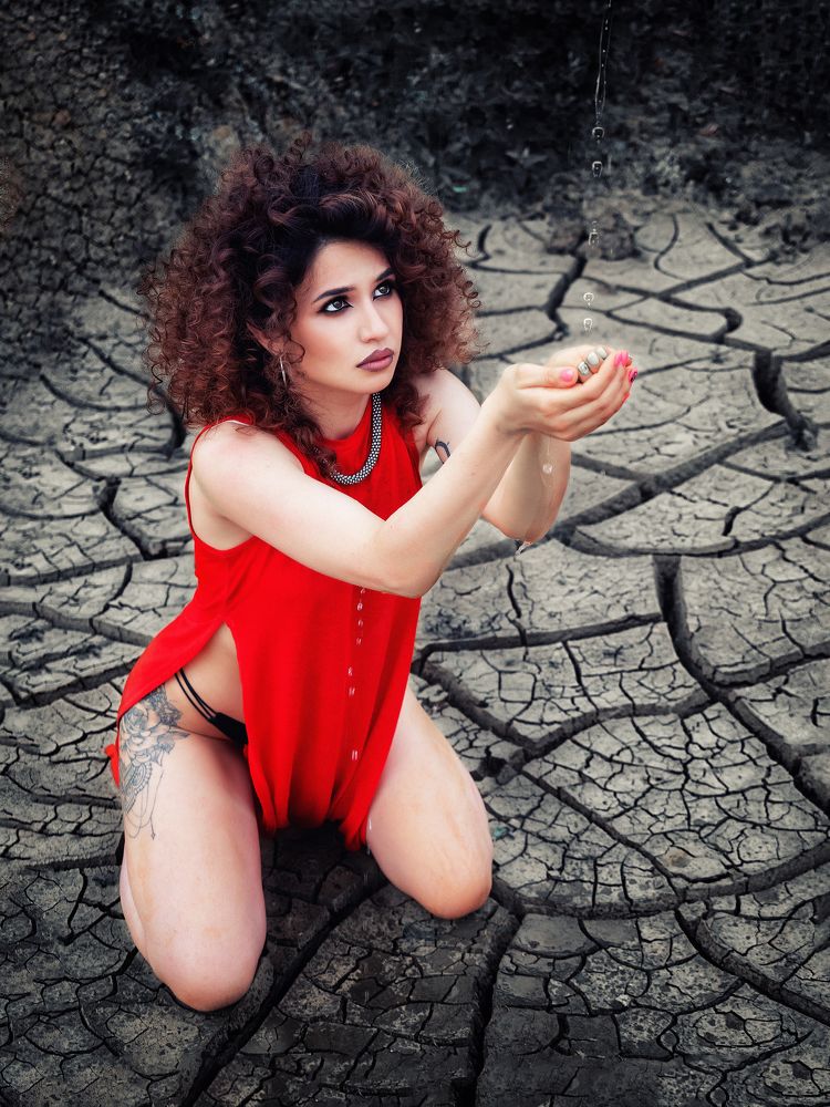 Фотография автора Елена Бурцева