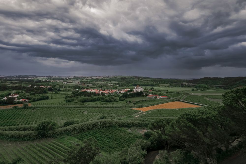 Photograph by Роман Павлов