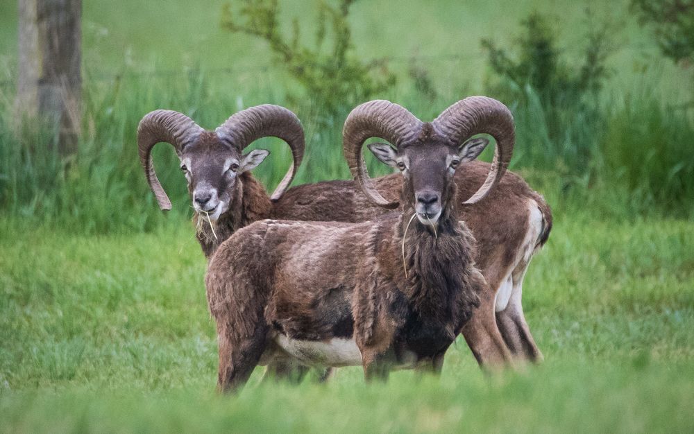 Фотография автора Guy Krier