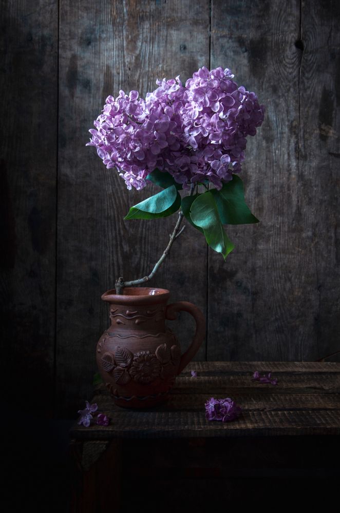 Photograph by 