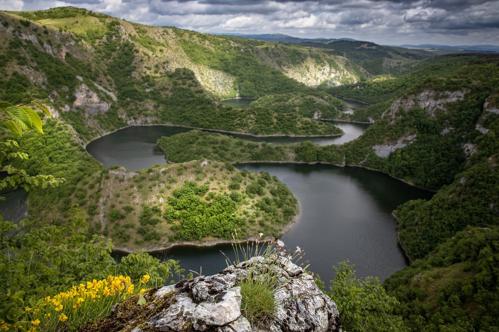 Photograph by Roman Bevzenko