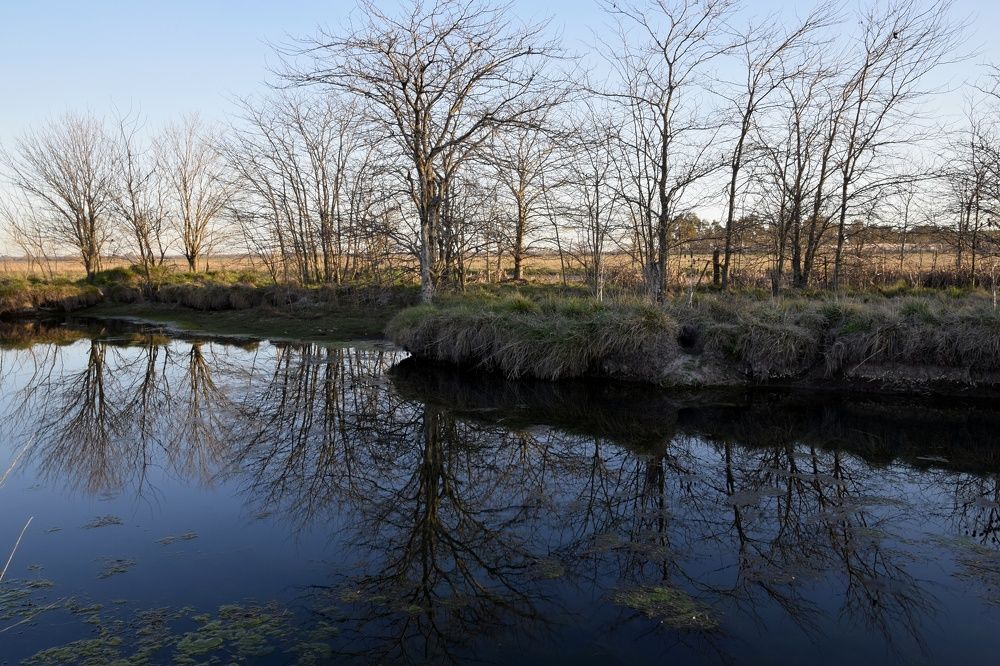 Photograph by Beatriz Games