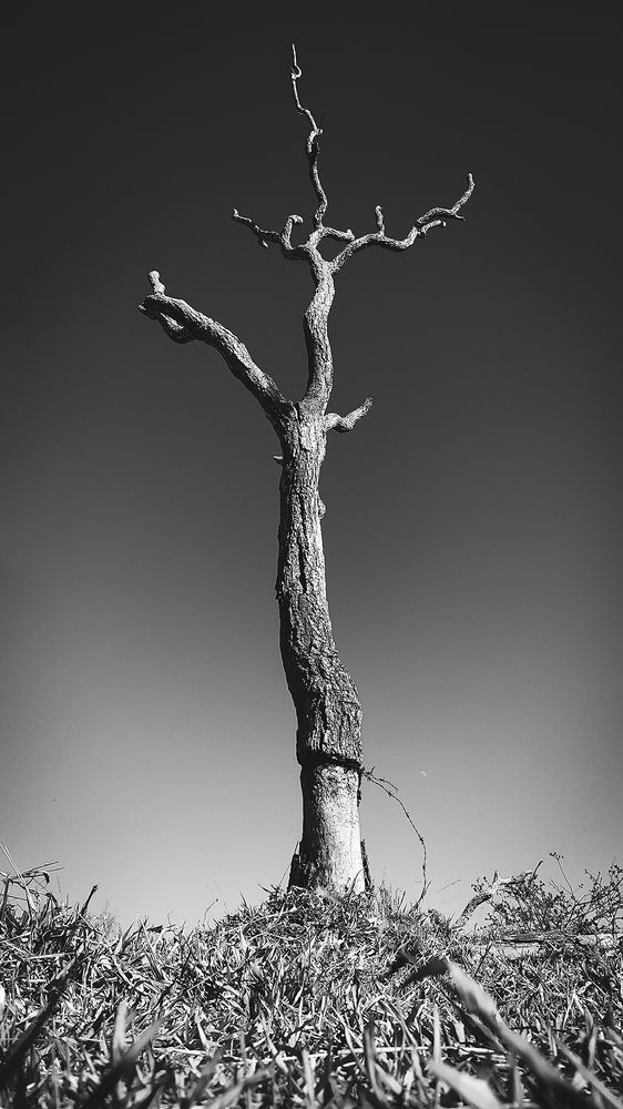 Photograph by Felipe Augusto