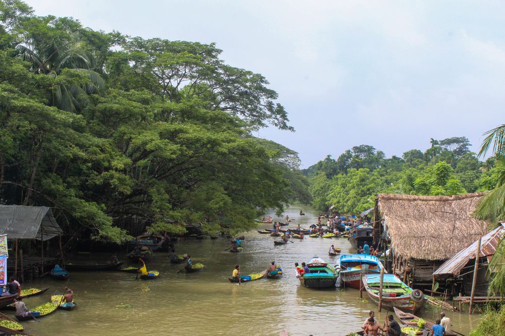 Фотография автора Sheikh Masud