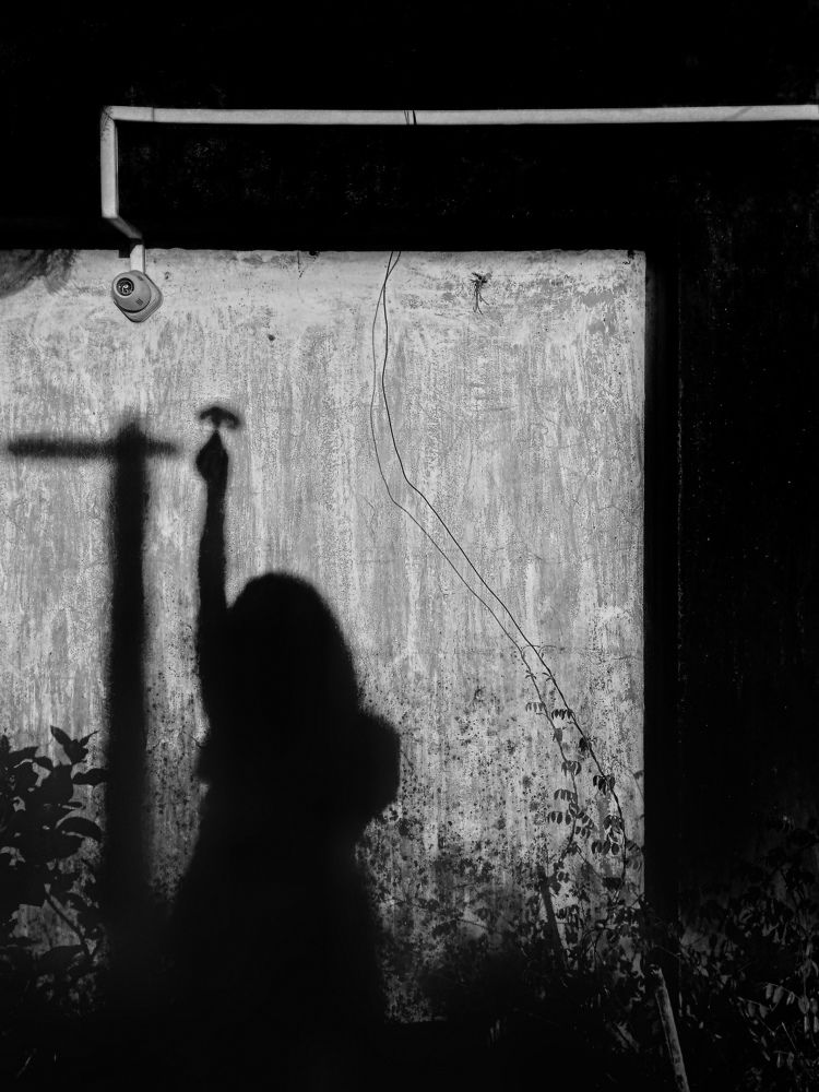 Photo #6265302