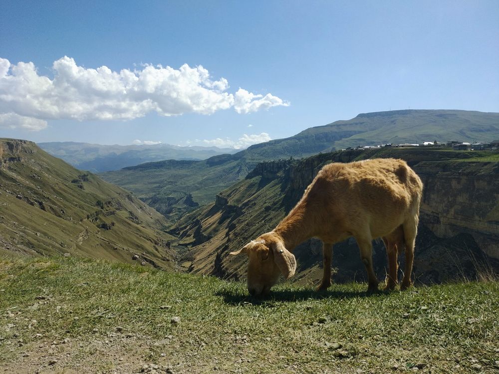 Photograph by Дмитрий Стрельцов