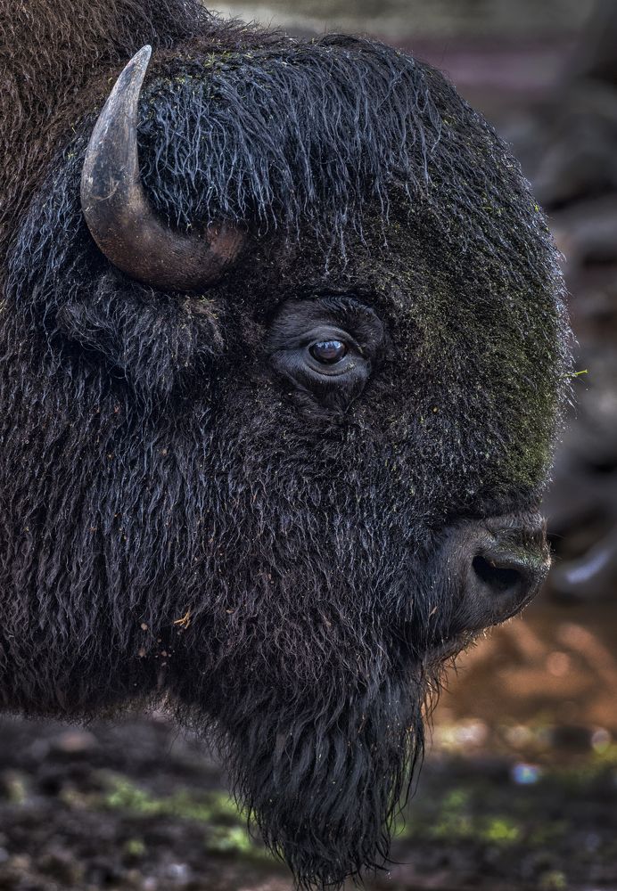 Photograph by Анна Кривицкая