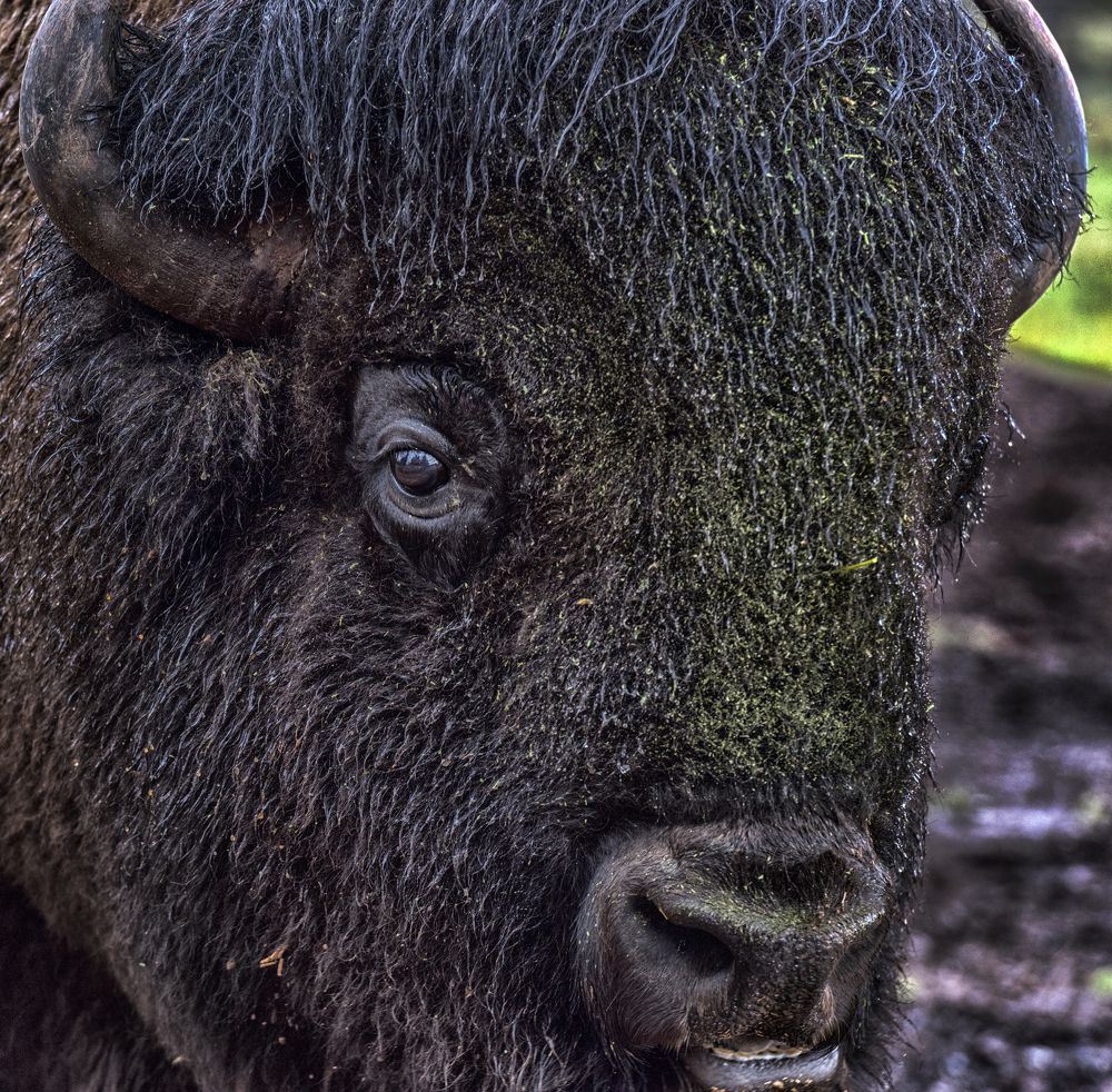 Photograph by Анна Кривицкая