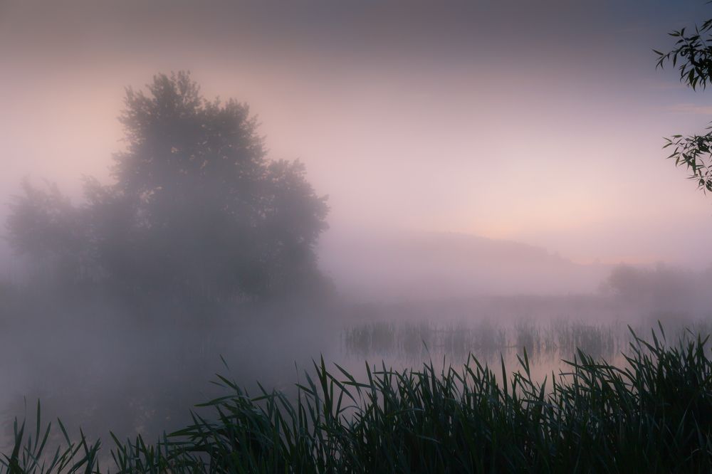 Розовый туман