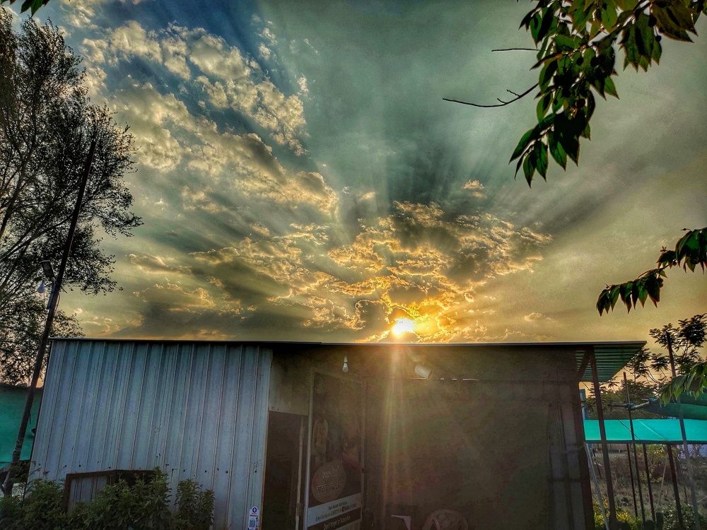 Sunset rays