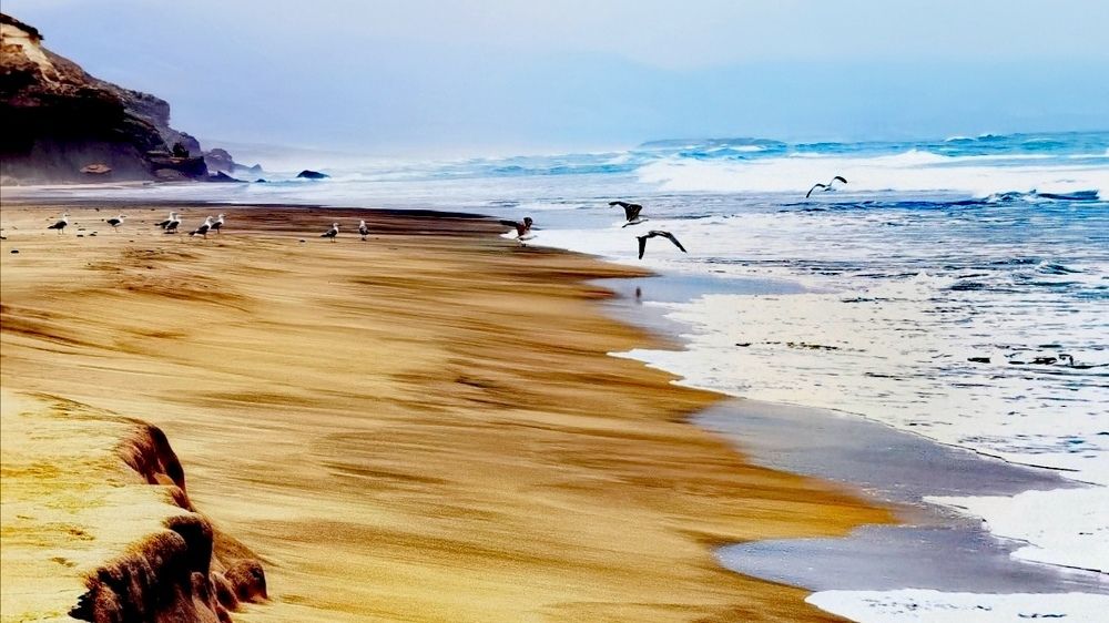 The energy and magic island of Fuerteventura.