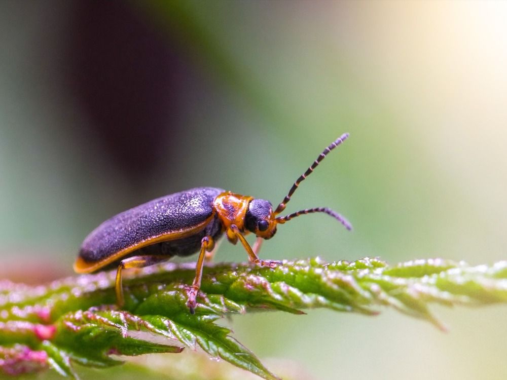 Photograph by Юлия Иванова